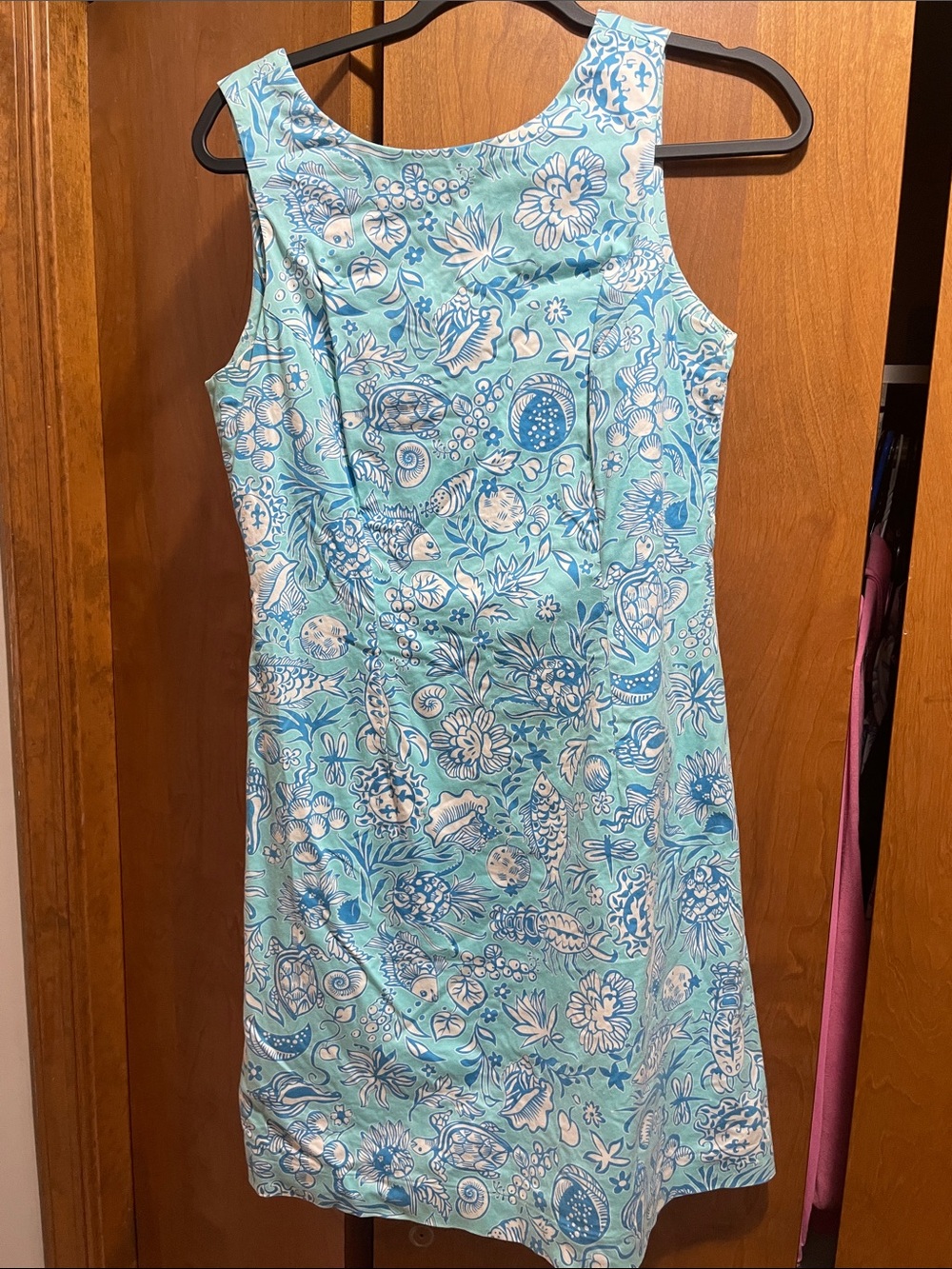 Sleeveless Aqua Blue Floral Print Shift Dress